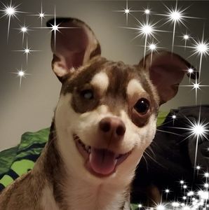 Meet your Posher, Cindy